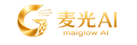 麦光 AI 内容增长会员